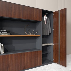 Шкаф для документов, с гардеробом (справа)